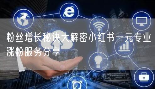 粉丝增长秘诀大解密小红书一元专业涨粉服务分享