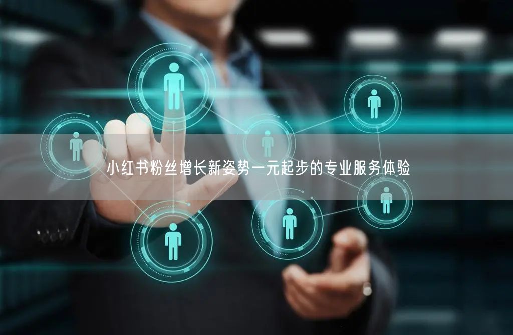 小红书粉丝增长新姿势一元起步的专业服务体验