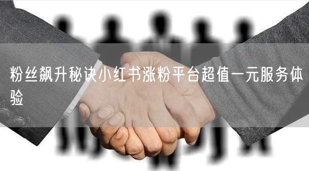 粉丝飙升秘诀小红书涨粉平台超值一元服务体验