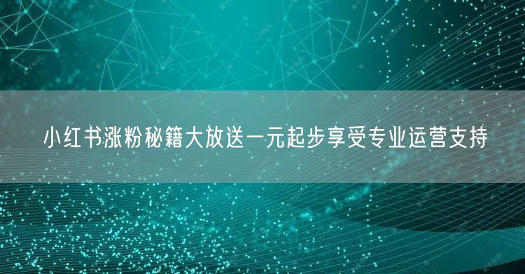 小红书涨粉秘籍大放送一元起步享受专业运营支持
