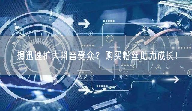 想迅速扩大抖音受众？购买粉丝助力成长！