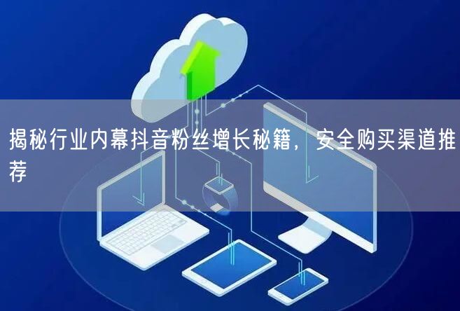 揭秘行业内幕抖音粉丝增长秘籍，安全购买渠道推荐