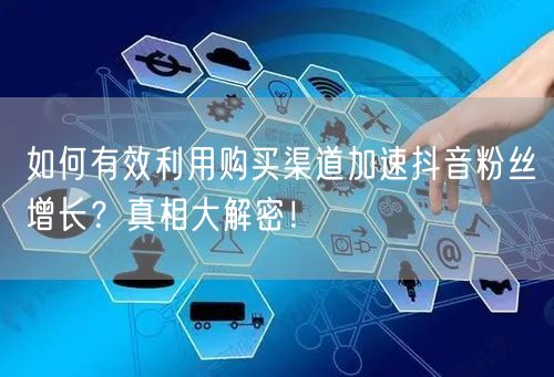 如何有效利用购买渠道加速抖音粉丝增长？真相大解密！
