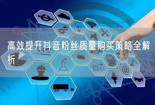 高效提升抖音粉丝质量购买策略全解析